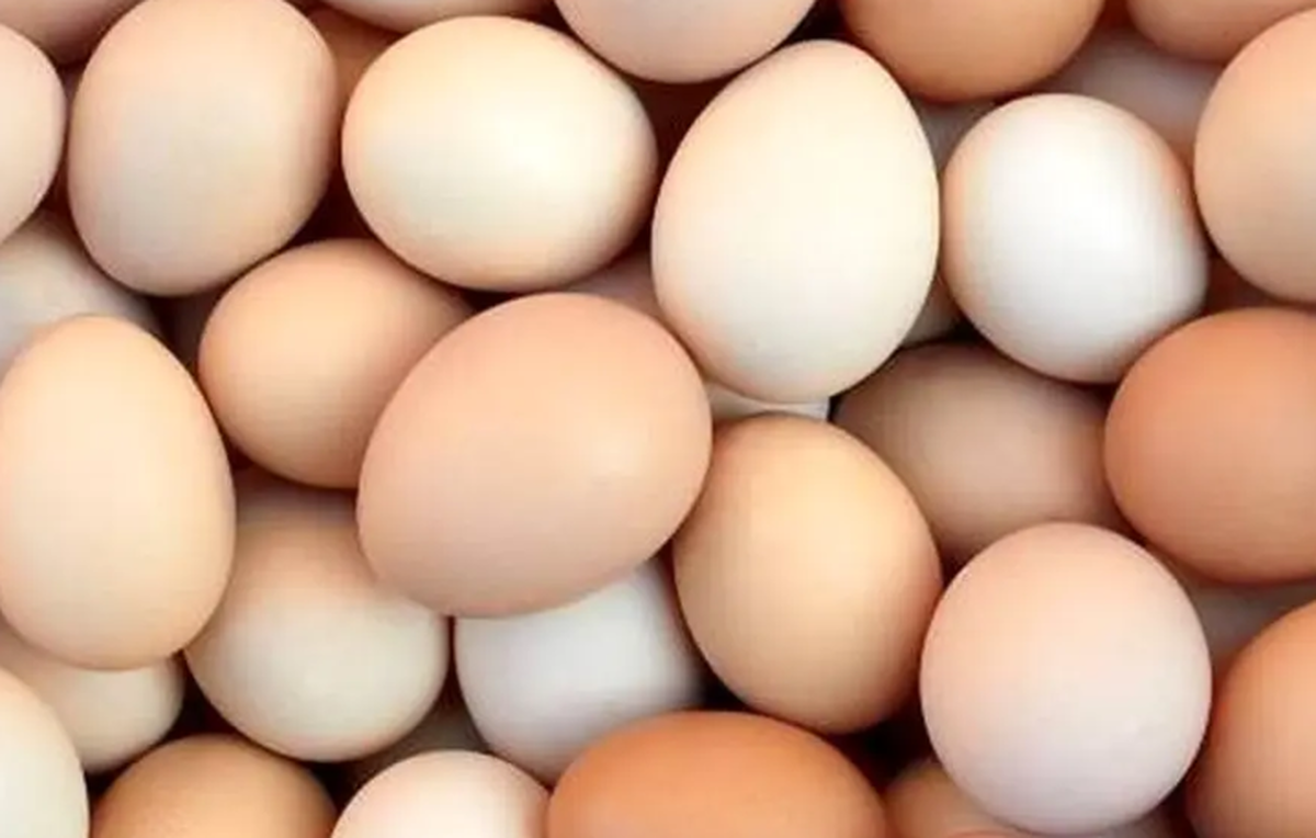 فواید تخم مرغ که نمیدانستید!