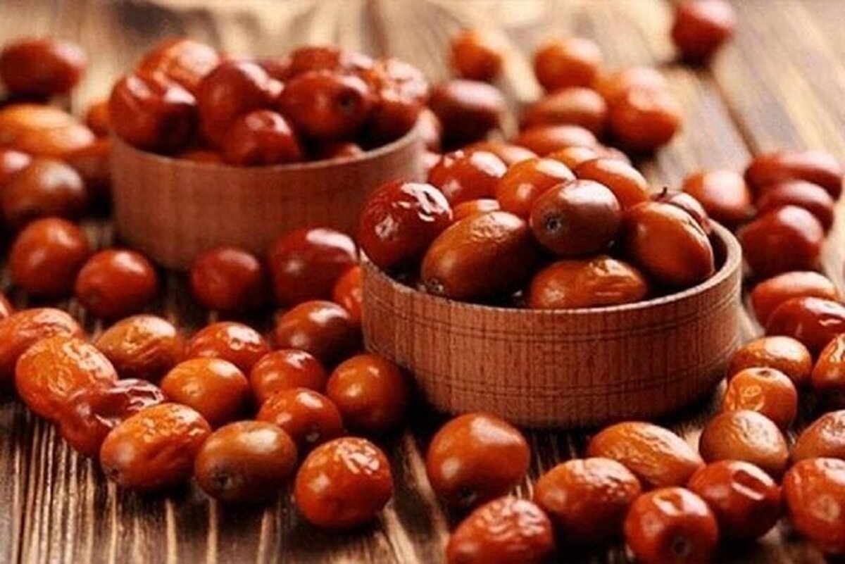 سنجد نوعی مسکن گیاهی که میتواند جایگزین استامینوفن شود!