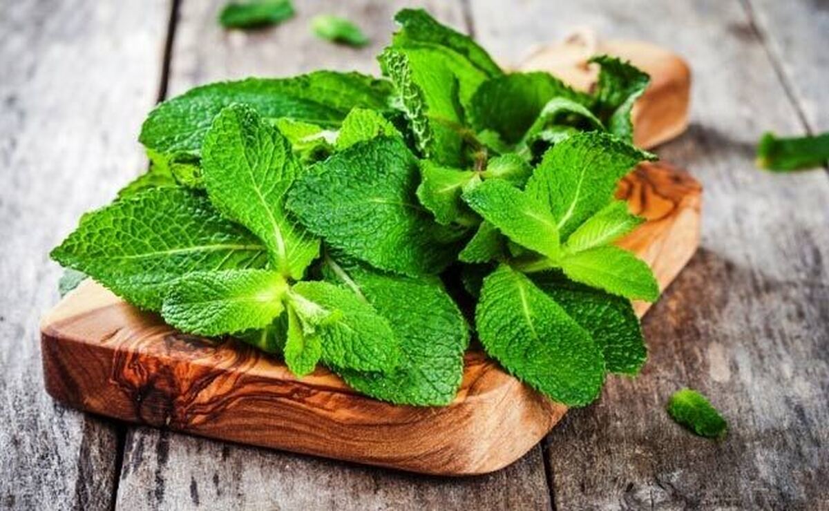 آرامش دستگاه گوارش به کمک نعناع!