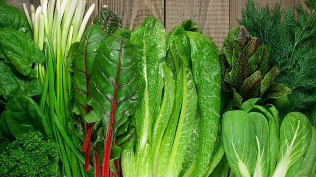 به کمک این مواد غذایی استرس تان را مدیریت کنید