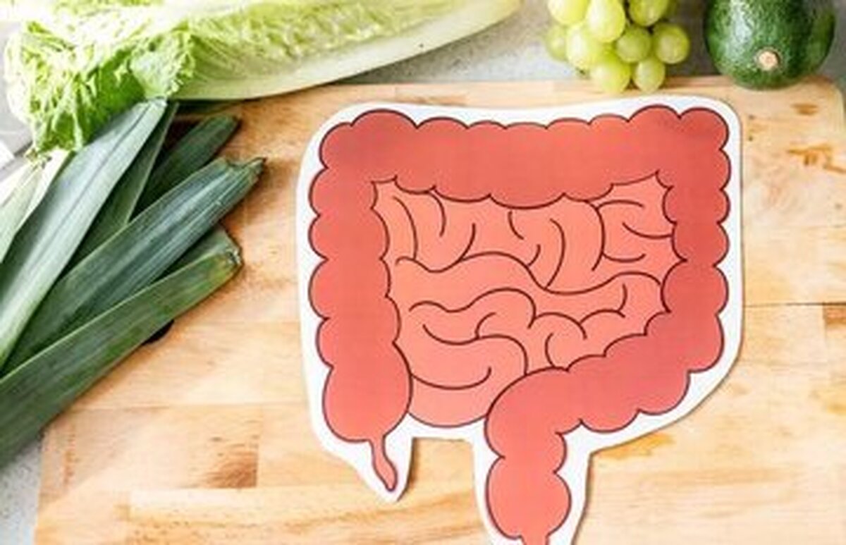 چند خوراکی مفید برای روده که شاید نمی‌دانید