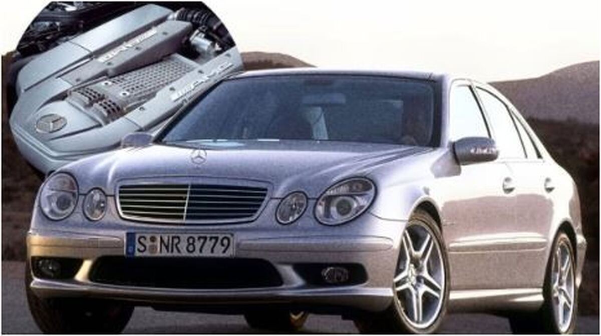 با ویژگی‌های «هلکت آلمانی» بیشتر آشنا شوید