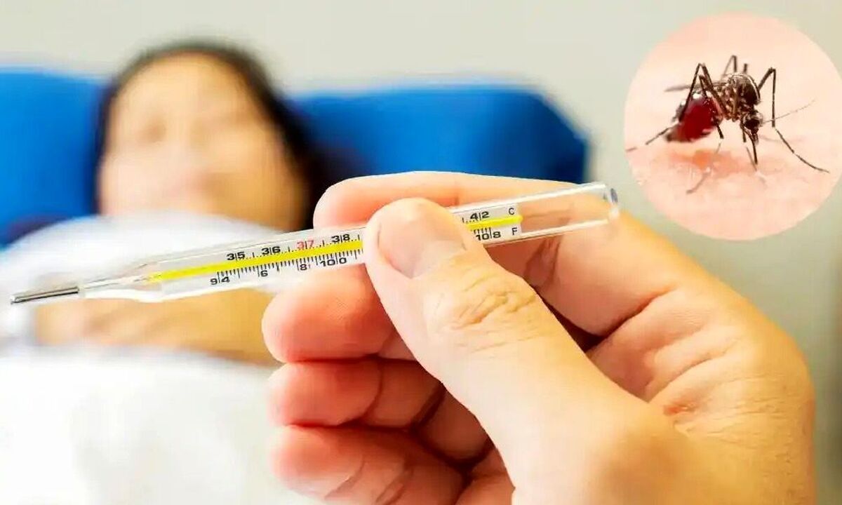 چگونه تب دنگی را از سایر بیماری‌ها تشخیص دهیم؟