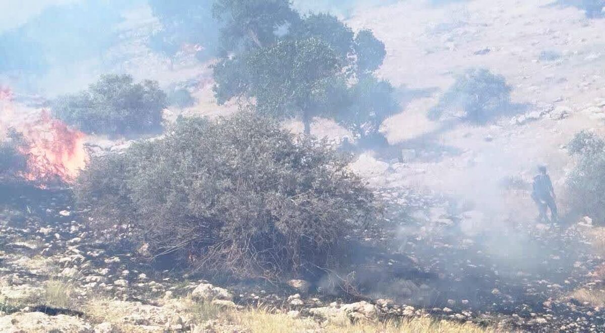 مهار کامل آتش در ارتفاعات و مراتع جنگلی سریوان شهرستان گیلانغرب