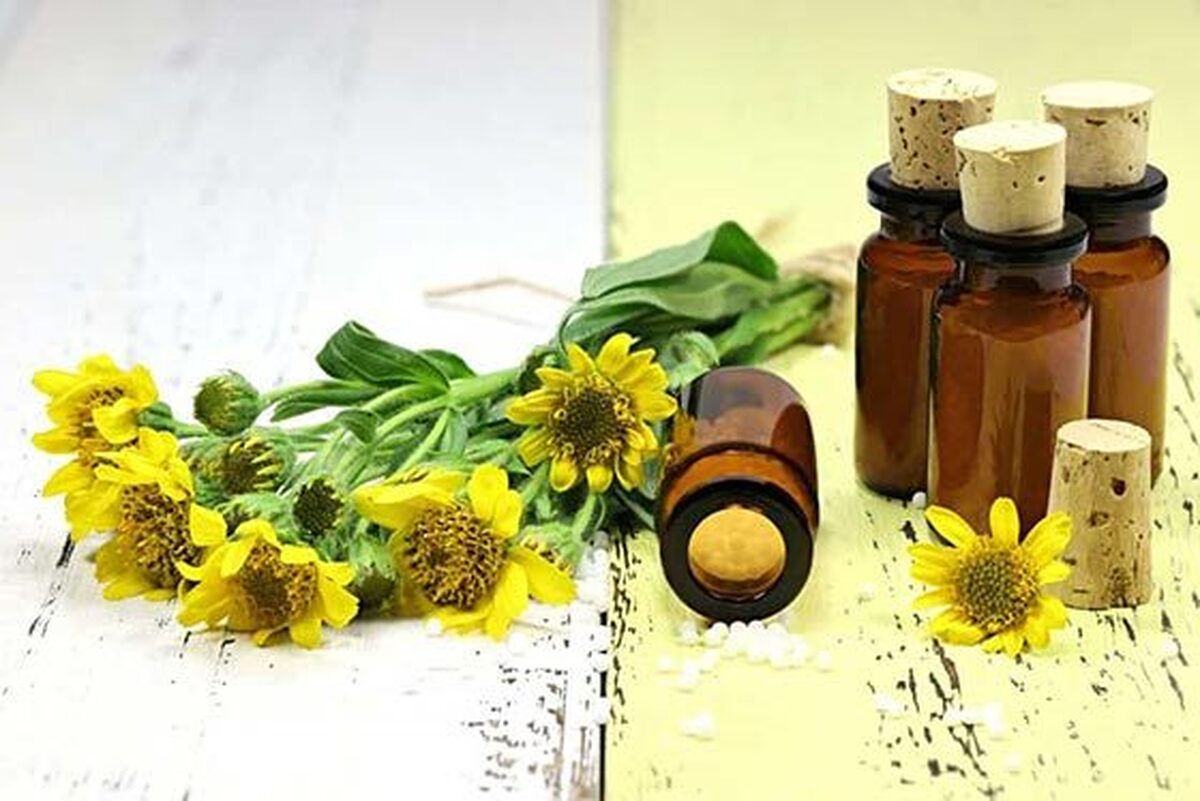 ۴ خاصیت باورنکردنی گیاه گلدار آرنیکا / عوارض و مضرات