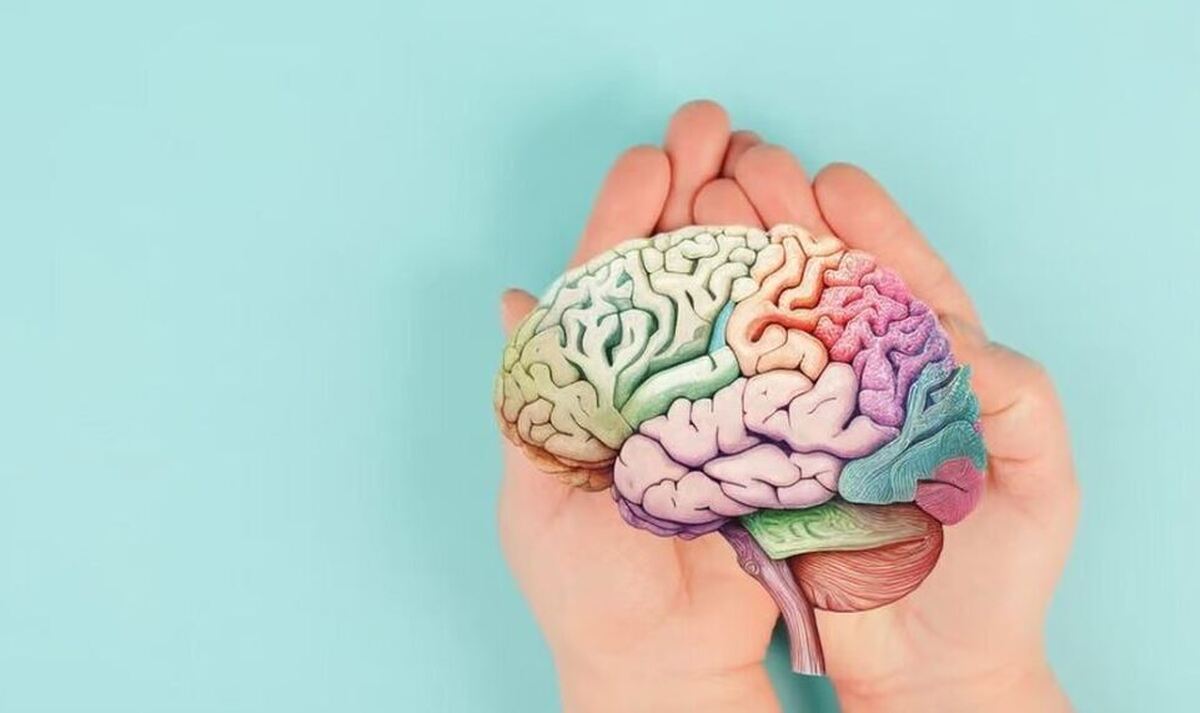 بیماری‌های مغزی و پارکینسون، در کمین طرفداران این غذا‌های خوشمزه!