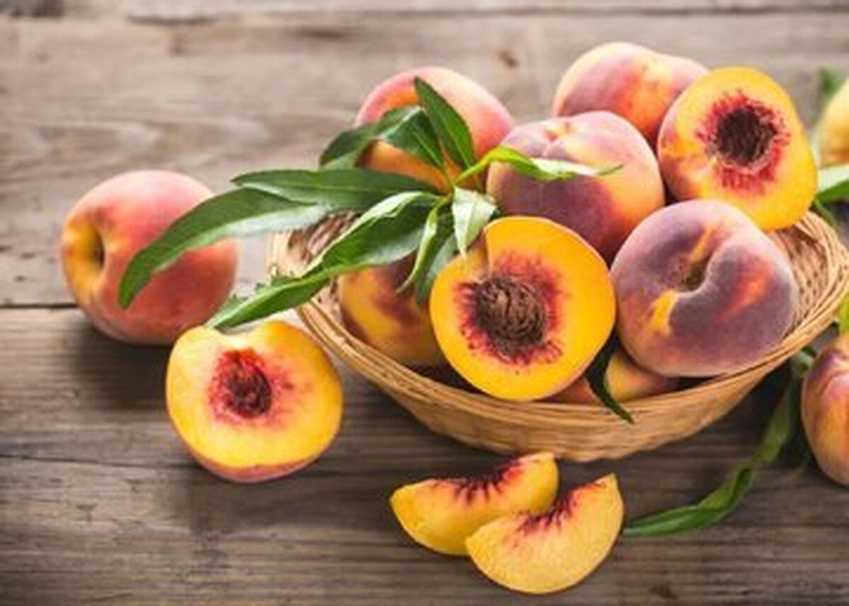 از جمله از خواص پرطرفدار‌ترین میوه تابستان می‌توان به درمان مشکلات پوستی و تقویت سیستم گوارش اشاره کرد