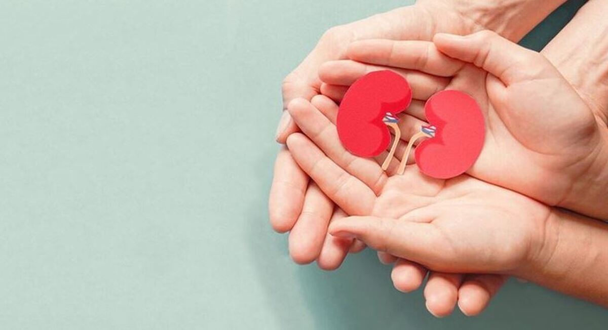 باکتری‌هایی که به دفع سنگ کلیه کمک می‌کنند را بشناسید