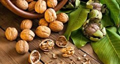 با گردو به جنگ این بیماری آزار دهنده بروید