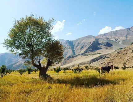 ۵ تفریگاه بکر در اطراف تهران مخصوص تعطیلات آخر هفته!