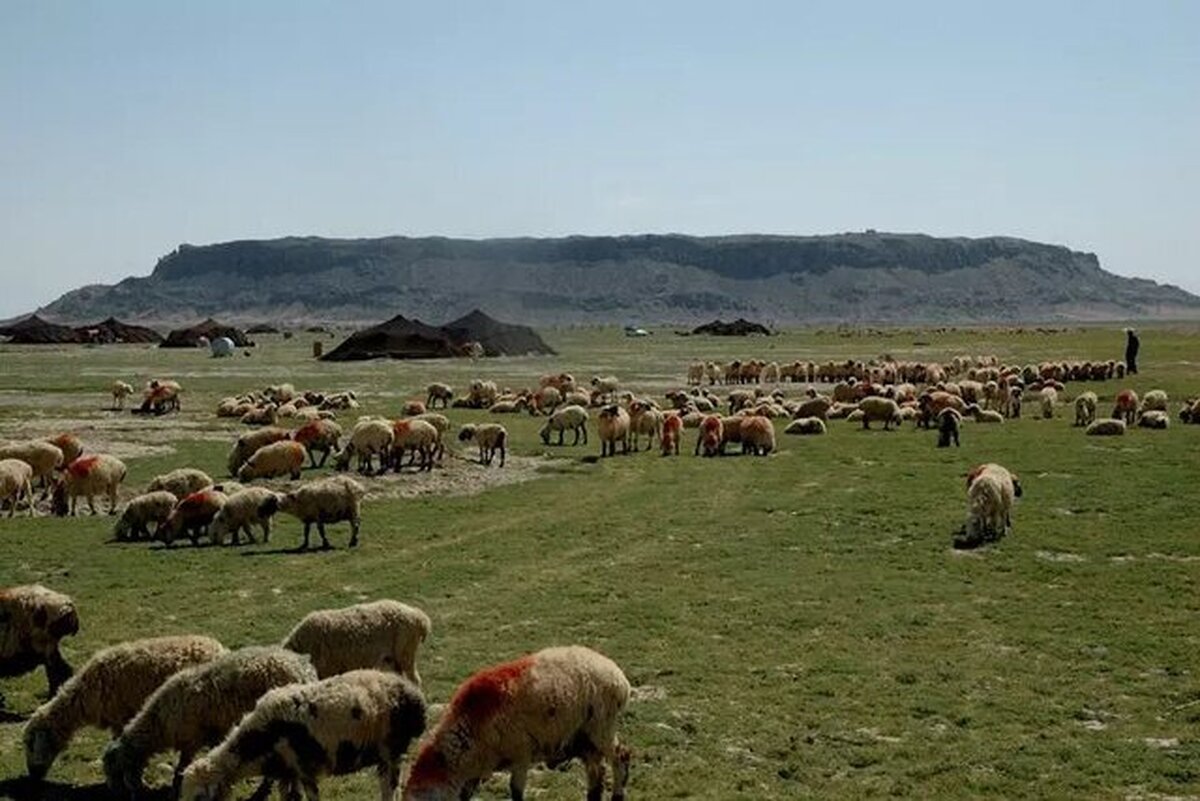 بهسازی ۳۷۰ کیلومتر ایل راه عشایر خوی
