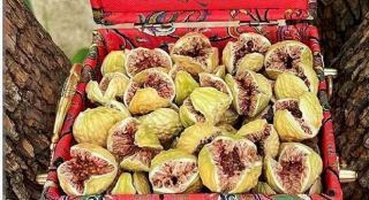 توسعه صادرات میوه بهشتی