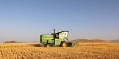خرید۸۵۰ هزار تن گندم از کشاورزان /بیجار و قروه، پیشتاز تولید گندم در کردستان