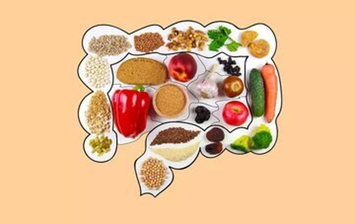 آیا می‌دانید مصرف غذا‌های پر چرب چه خطراتی برای روده دارد؟