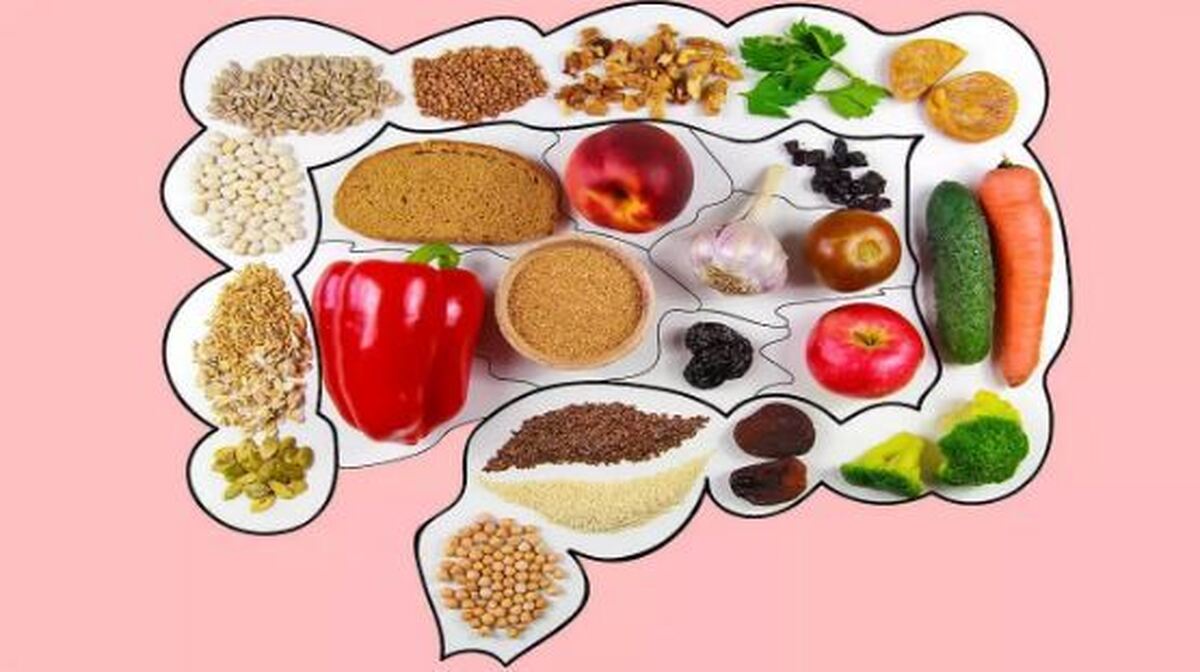 تأثیر رژیم غذایی پرچرب بر سلامت سیستم ایمنی روده