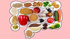 تأثیر رژیم غذایی پرچرب بر سلامت سیستم ایمنی روده