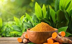 با این ادویه در دسترس به جنگ آلزایمر بروید