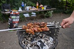 به افراد گفته شده بود که شیشلیک نپخته می‌تواند آنها را به چه بیماری مبتلا کند