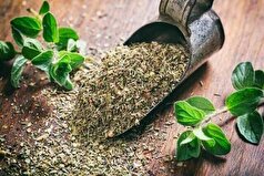 گیاه آویشن یک ضدباکتری قوی برای رفع نفخ معده
