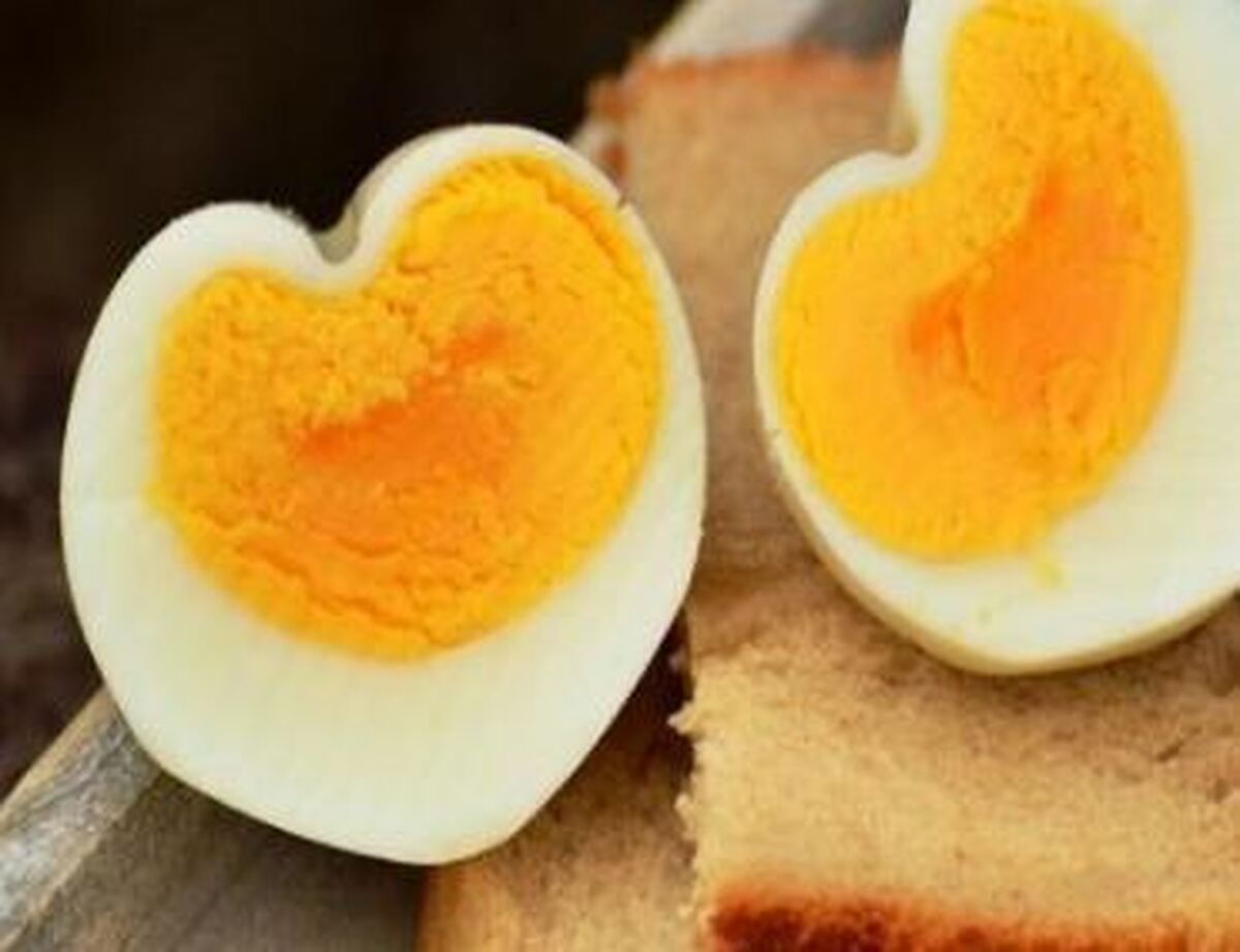 آیا می‌دانید تخم مرغ چه تاثیری روی سلامت مغز و بدن انسان می‌گذارد؟