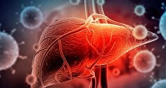 طب ایرانی چگونه برای درمان بیماری‌های کبدی راهکار میدهد؟