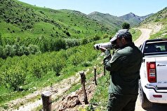 توسـعه رشته مهارتی محیط‌بانی با همکاری سازمان فنی وحرفه ای و کاردانش