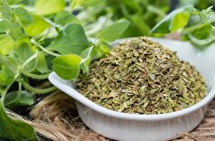 مزاج آویشن چیست؟