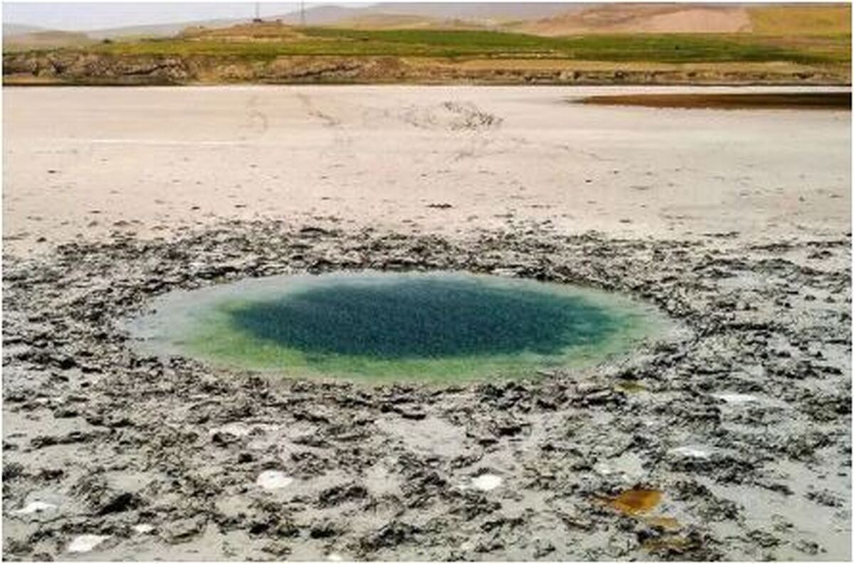 واکنش پرخاشگرانه نماینده ارومیه در پی خشک شدن دریاچه ارومیه