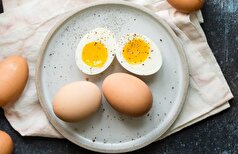 مصرف تخم‌مرغ چه تاثیری بر کلسترول خون دارد؟