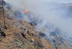 آتش‌سوزی گسترده در منطقه امند زنجان تحت کنترل است
