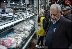گران بودن بسته بندی مرغ خبرساز شد