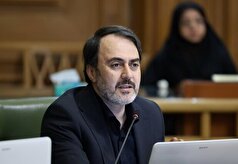 خطر سوسک‌های چوب‌خوار برای بوستان سرخه‌حصار/ محیط زیست چشم‌هایش را بسته است