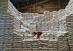 کمبود برنج یا ناتوانی مدیریتی؟
