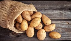سیب‌زمینی ریشه در پیوندی باستانی با گوجه‌فرنگی دارد!