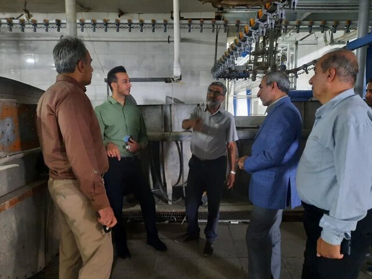 کشتارگاه طیور استان مرکزی در آستانه راه‌اندازی/تایید دامپزشکی، شرط فعالیت مجدد