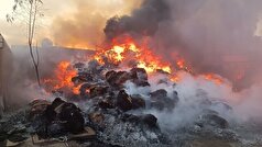 ۲۰۰۰ بسته پُخل در آتش سوخت