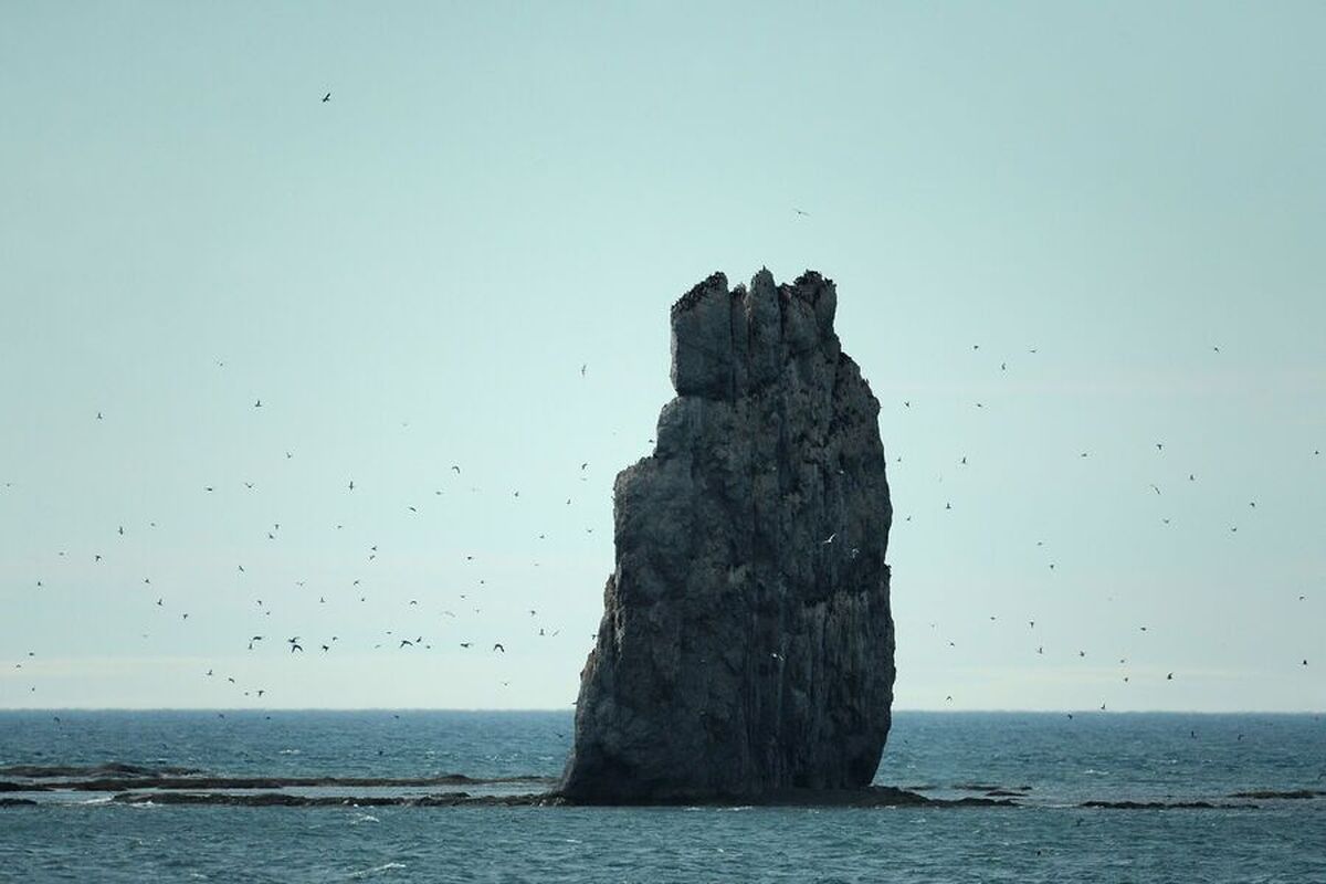 دانشمندان افزایش رادیواکتیویته در نوایا زملیا را ثبت کرده‌اند