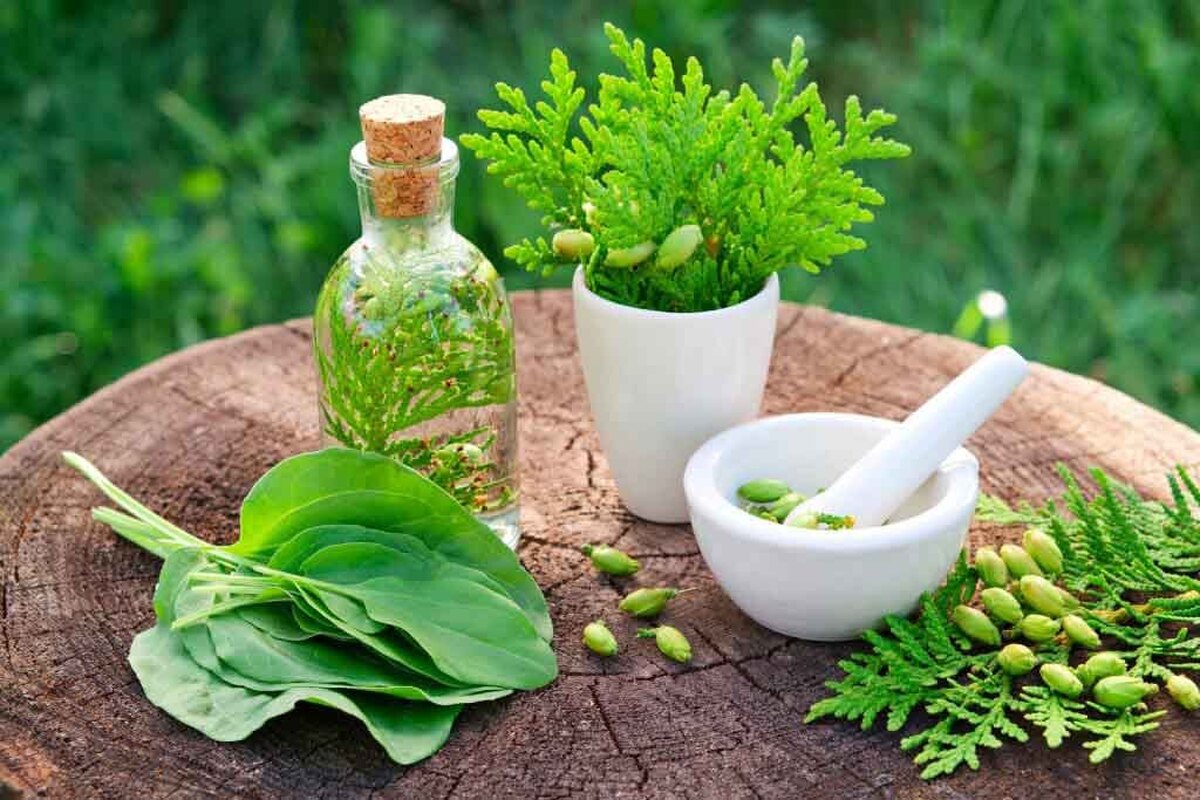 نقش و جایگاه طب سنتی در پیشگیری و درمان بیماری‌های شایع!