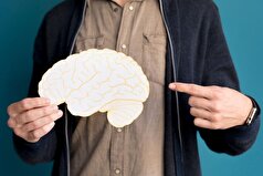 علت ژنتیکی جدید اختلال حافظه کشف شد