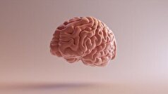 مصرف رژیم غذایی با این ویژگی‌ها میتواند آلزایمر را از شما دور کند!