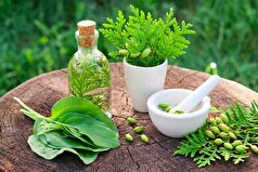 نقش و جایگاه طب سنتی در پیشگیری و درمان بیماری‌های شایع!