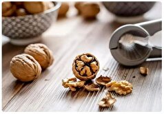 گردو و زنیان دوست خوب کلیه‌های شما+نحوه مصرف