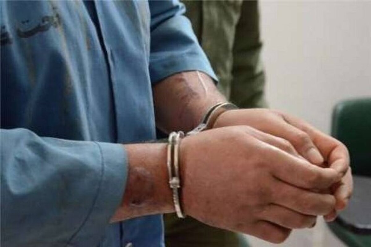 سارقان منزل در تعقیب و گریز پلیسی دستگیر شدند