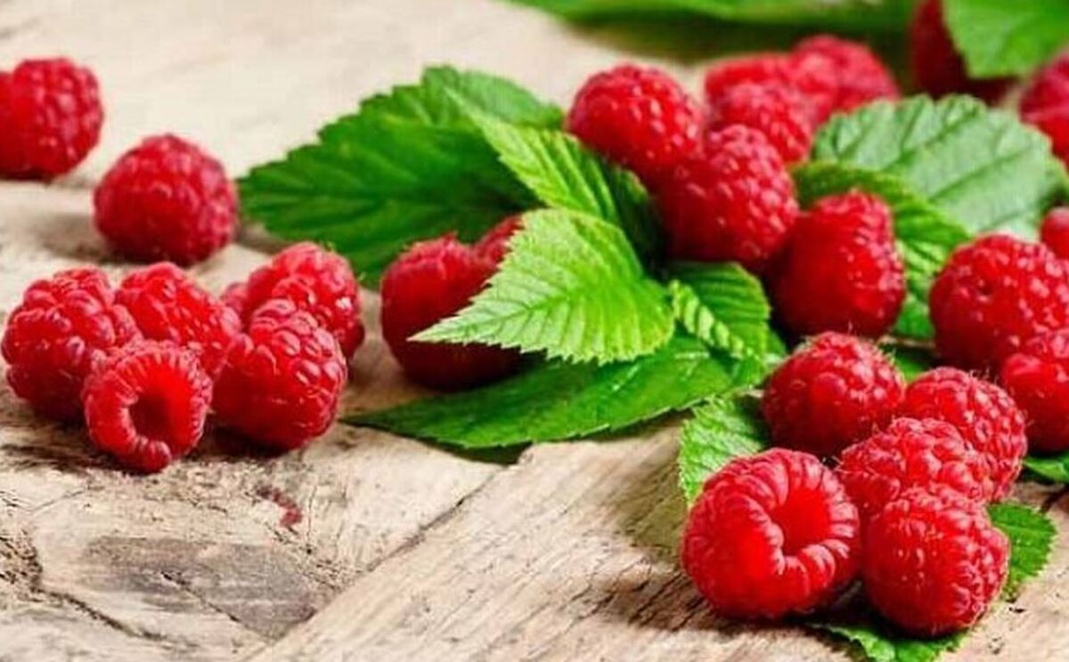 به کمک این میوه خوش طعم جوان و فیت بمانید