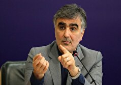 دستور فرزین به بانک‌ها در رابطه با تسهیلات ازدواج و فرزنداوری