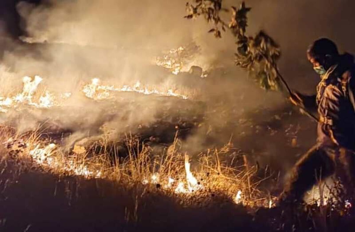 آتش به جان مراتع کوه دراک شیراز افتاد