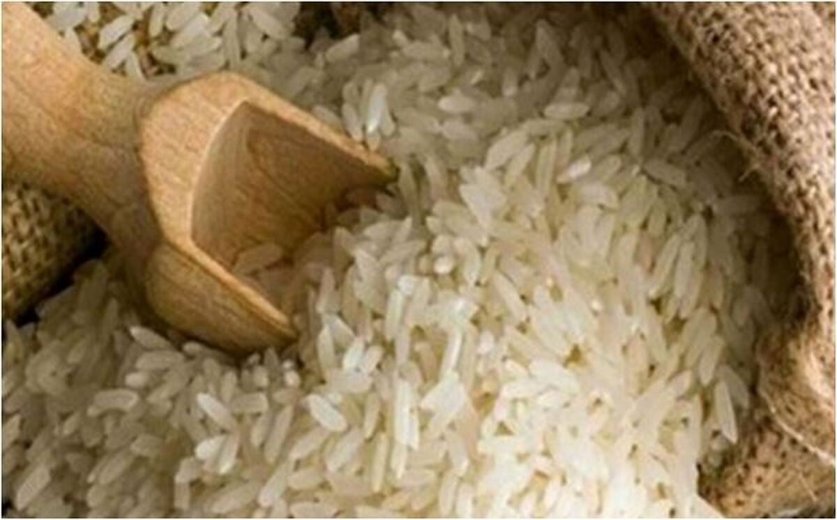 کمبود ۱ میلیون تن برنج در بازار، مسئله نگران کننده این روز‌ها