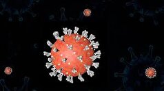 ژن غیرمنتظره‌ای که ممکن است به تعیین خطر مرگ ناشی از آنفولانزا یا کووید-۱۹ کمک کند