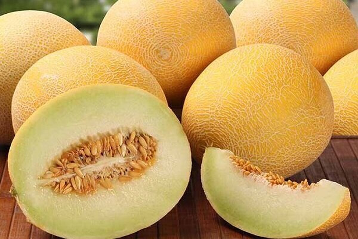 نقش محافظتی ملون در برابر سرطان‌ها را نادیده نگیرید!