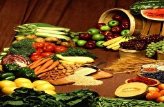یک مطالعه، اثربخشی رژیم‌های غذایی خاص را در مبارزه با بیماری‌های پیری اثبات می‌کند